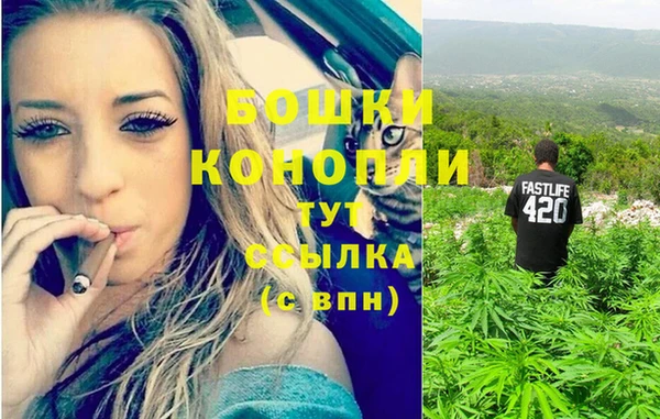 стафф Тавда