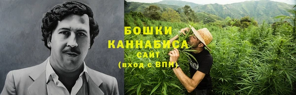 a pvp Пересвет